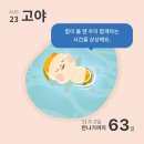 케어트립 이미지