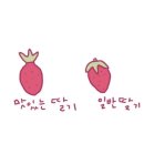 메타복스 네이버블로그