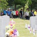 현충원 산책길 이미지