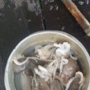 훼미리호좌대낚시터 이미지