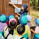 풍납어린이집 이미지