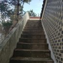 김제집 이미지