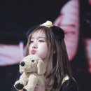 케이팝머치 이미지