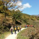 해인사 소리길 이미지