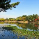 궁전장여관 이미지