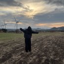 중문동-26 | 1월 제주여행 추천｜겨울 제주 동백꽃 개화 시기 &amp; 명소 총정리