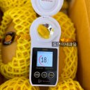 도연밸리 이미지