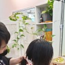 여수붙임머리 추천 언니사는곳 서울서 붙인후기