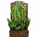 웰빙그린 이미지