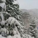 세찬농장 이미지