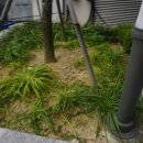 강정LH아파트 이미지