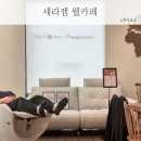 세라젬 안마의자 렌탈 웰카페 M6 직가열 온열볼 체험