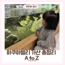 [겨울]키즈발레B | 아쿠아밸리 가산 서울 아이랑 실내 대형 키즈카페 내돈내산 후기