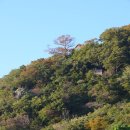 해뜨는장 이미지