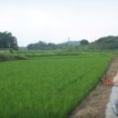 부발읍-02 이미지