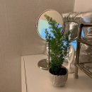 메이의보울 이미지