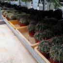 밀양시농업기술센터 이미지