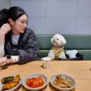 새벽식당 이미지