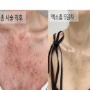 창덕궁미인당 네이버블로그