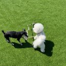 코지독하우스 이미지