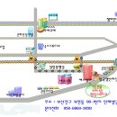 플라마 이미지