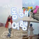 강릉시수산업협동조합 수산물직매장 | 동해 1박2일 여행(오션뷰 숙소, 대진항, 해랑전망대, 어달항, 화로구이, 독립서점)