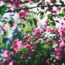 봄요가 - 고양시 일산동구 무궁화로 8-38 | 봄요가