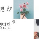 아이미안경 이미지