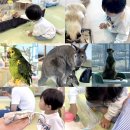 스마일캣 | 함께 가기 좋은 실내 동물원 미어캣프랜즈 32개월 아이와 다녀온 후기! | 파주 아이와 가볼만한곳 추천!