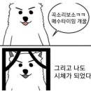 두 다리 쭉 접고 잡니다;; 이미지