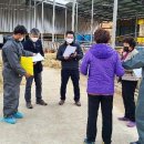 순천-35호 이미지