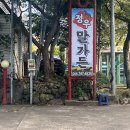 제주여행, 생애 첫 말고기 후기 (제주정우말가든)
