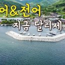 고등어 &amp; 전어낚시 이미지