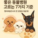 마마동물병원 이미지