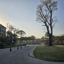 이루다해장국 | [구장방문기] 설해원CC ‘더 레전드’ 라운딩 후기 – 강풍을 뚫고 마주한 설해원의 자존심