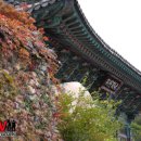 동림사