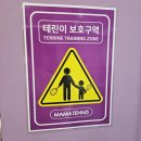 마마테니스 이미지