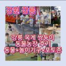 최신농장 | 강릉 쌍둥이 동물농장 내돈내산 아이랑 하루 코스 추천 [강릉 옥계 쌍둥이 동물농장]