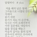 달빛바다 이미지