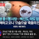 [일반] 코로나 시즌2 빌드냐 이미지