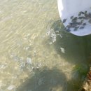 경상남도 수산안전기술원 이미지