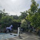 핫 독 | 경기 용인 강아지 운동장 수영장: 컨츄리독힐링파크