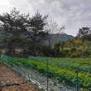 고동영행정사 사무소 이미지