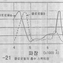 광선연구 제 384호 1981년 5월 1일 발행 이미지