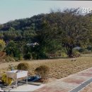 강당골캠핑파크 이미지