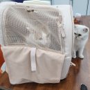 살롱아르르 이미지