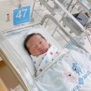 미즈메디에서 39주 5일에 자연분만 둘째 출산♥ 출산 준비물, 병원비 등