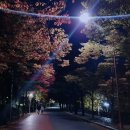 코인스동전노래연습장 이미지