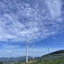 태백고냉지 | 태백여행 가볼만한 곳_이국적인 바람의 언덕 이용방법 주차