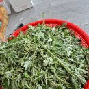 쑥절편(주문받아요 (8일날배송해드려요 이미지